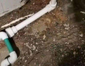 香坊卫生间测漏水服务电话