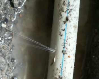 香坊卫生间测漏水多少钱