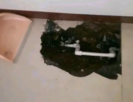 香坊卫生间测漏水多少钱